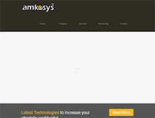 Tablet Screenshot of amkosys.com